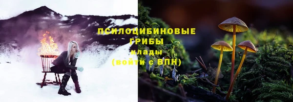 прущие грибы Алексеевка
