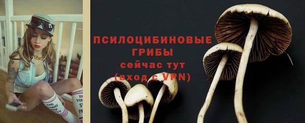 твердый Алзамай
