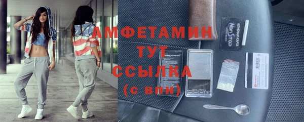 индика Абинск
