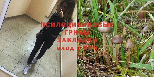 твердый Алзамай