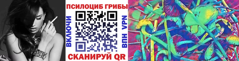 Псилоцибиновые грибы мицелий ОМГ ОМГ вход Благодарный
